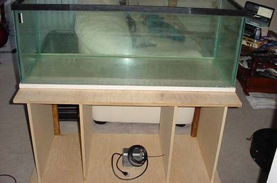75 gallon tank that will become the sump
